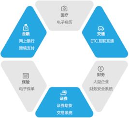 江南天安 密碼技術與信息安全綜合服務商的領軍者